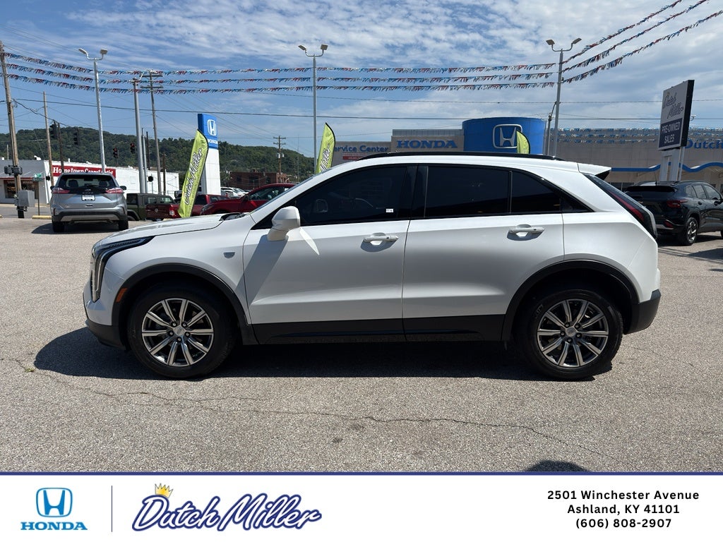 Photo 4