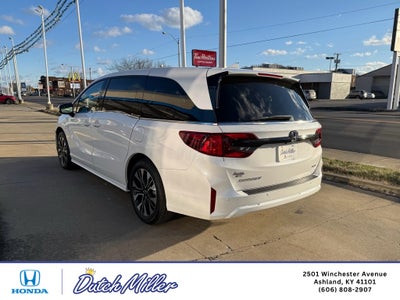 2026 Honda Odyssey Elite