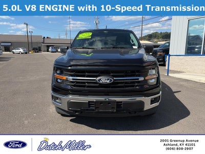 2025 Ford F-150 XLT